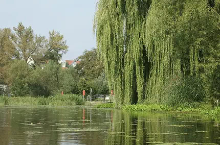 Biohotel Fulda Ausflugsziele in Fulda