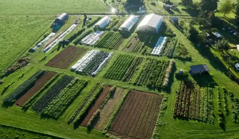 Demeter Landwirtschaft