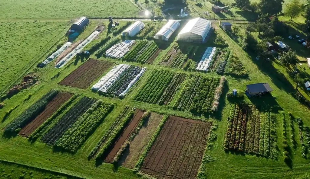 Demeter Landwirtschaft