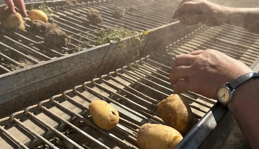 Kartoffelernte im LindenGut